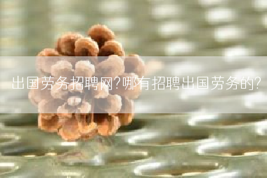 出国劳务招聘网?哪有招聘出国劳务的?