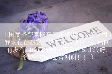 中国商务部官网查询正规出国劳务公司（我现在在西安，想去新加坡打工，请问有没有知道西安哪个劳务公司比较好，希望知道的回答谢谢！！）
