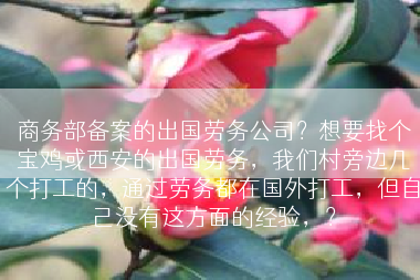 商务部备案的出国劳务公司？想要找个宝鸡或西安的出国劳务，我们村旁边几个打工的，通过劳务都在国外打工，但自己没有这方面的经验，？