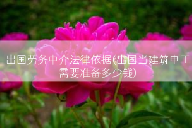 出国劳务中介法律依据(出国当建筑电工需要准备多少钱)