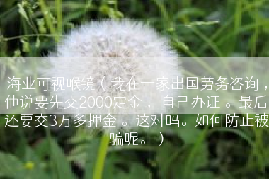 海业可视喉镜（我在一家出国劳务咨询 ，他说要先交2000定金 ，自己办证 。最后还要交3万多押金 。这对吗。如何防止被骗呢。）
