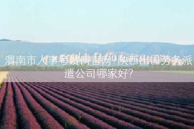 渭南市人事考试网官网?陕西出国劳务派遣公司哪家好?