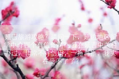 延吉旅游攻略？请问一下，延边地区留学中介哪个有信誉啊？ 我在延吉中关村办过，非常不守信用，一拖再拖，我实在受不了了？