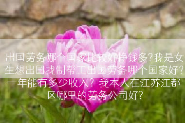 出国劳务哪个国家比较好挣钱多?我是女生想出国找制帮工出国劳务哪个国家好？一年能有多少收入？我本人在江苏江都区哪里的劳务公司好?