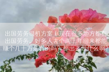 出国劳务司机方案（现在很多地方都有出国劳务，好多人去个两三年回来都能赚个几十万是真的吗？都出去做什么啊？）