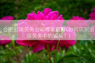 合肥出国劳务公司哪家最好(如何识别出国劳务中的骗局？)