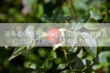 劳务公司有劳务用工资质吗？有公司直招出国打工的吗，没有中介费的？