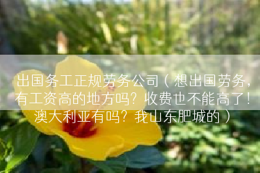 出国务工正规劳务公司（想出国劳务，有工资高的地方吗？收费也不能高了！澳大利亚有吗？我山东肥城的）