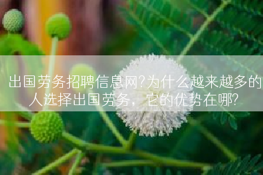 出国劳务招聘信息网?为什么越来越多的人选择出国劳务，它的优势在哪?