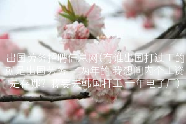 出国劳务招聘信息网(有谁出国打过工的就是出国劳务 一两年的 我想问内个工资是存哪？我要去韩国打工 一年电子厂)