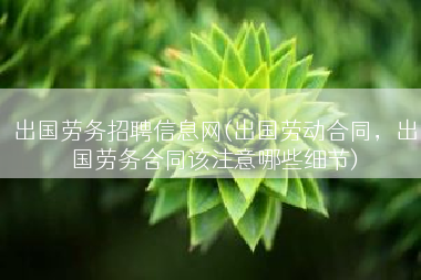 出国劳务招聘信息网(出国劳动合同，出国劳务合同该注意哪些细节)