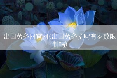 出国劳务网官网(出国劳务招聘有岁数限制吗)