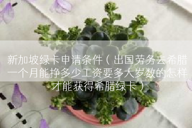新加坡绿卡申请条件（出国劳务去希腊一个月能挣多少工资要多大岁数的怎样才能获得希腊绿卡）