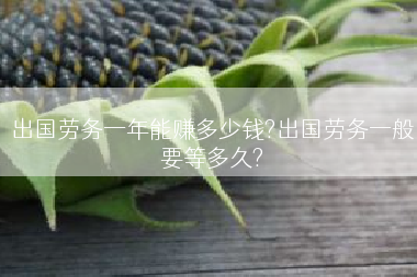 出国劳务一年能赚多少钱?出国劳务一般要等多久?