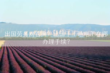 出国劳务网官网？出国干工地电工在哪办理手续？