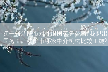 辽宁省沈阳市对外出国劳务公司?我想出国务工，沈阳市哪家中介机构比较正规?