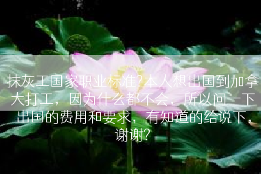 抹灰工国家职业标准?本人想出国到加拿大打工，因为什么都不会，所以问一下出国的费用和要求，有知道的给说下，谢谢?