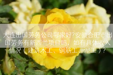 大连出国劳务公司哪家好?安徽合肥市出国劳务有新西兰项目吗，如有具体收入情况（建筑木工、钢筋工、泥工）?