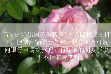 万国国际出国劳务官网?本人即将出国打工。但缺高额的劳务费。想咨询下可以向银行申请贷款吗？有知道的朋友能说一下不！非常感谢?