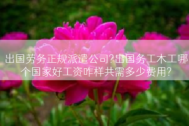 出国劳务正规派遣公司?出国务工木工哪个国家好工资咋样共需多少费用?