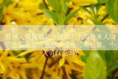 苏州人保保险怎么退掉？上海外来人口综合保险怎么退掉，没有公司公章，个人可以退吗？