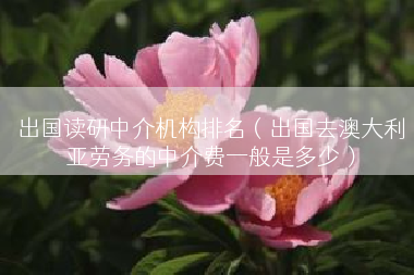 出国读研中介机构排名（出国去澳大利亚劳务的中介费一般是多少）