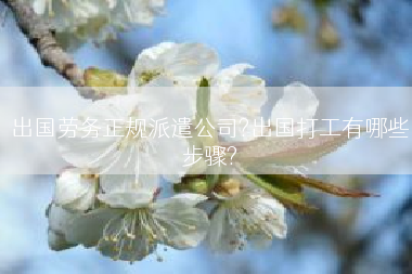 出国劳务正规派遣公司?出国打工有哪些步骤?