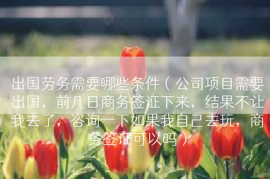 出国劳务需要哪些条件（公司项目需要出国，前几日商务签证下来，结果不让我去了，咨询一下如果我自己去玩，商务签证可以吗）