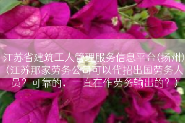 江苏省建筑工人管理服务信息平台(扬州)(江苏那家劳务公司可以代招出国劳务人员？可靠的，一直在作劳务输出的？)