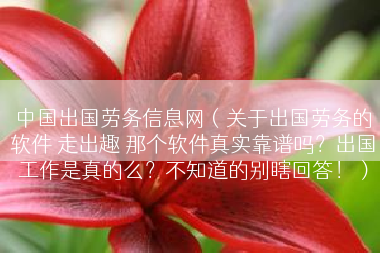 中国出国劳务信息网（关于出国劳务的软件 走出趣 那个软件真实靠谱吗？出国工作是真的么？不知道的别瞎回答！）