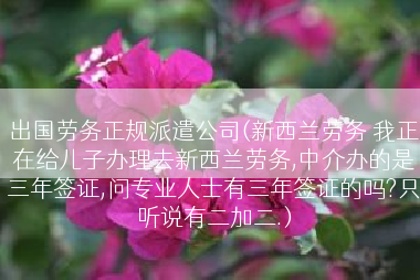 出国劳务正规派遣公司(新西兰劳务 我正在给儿子办理去新西兰劳务,中介办的是三年签证,问专业人士有三年签证的吗?只听说有二加二.)
