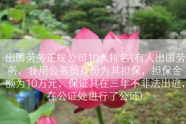 出国劳务正规公司10大排名(有人出国劳务，我用公务员身份为其担保，担保金额为10万元，保证其在三年不非法出逃，在公证处进行了公证)