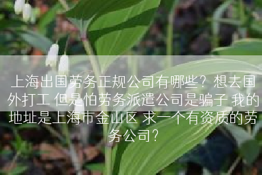 上海出国劳务正规公司有哪些？想去国外打工 但是怕劳务派遣公司是骗子 我的地址是上海市金山区 求一个有资质的劳务公司？
