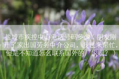 盐城市疾控中心电话号码多少（朋友刚开了家出国劳务中介公司，我过来帮忙，但是不知道怎么联系国外的厂家啊？）