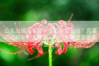 山东出国劳务留学签证有限公司？莒县劳动局现在去韩国三年劳务输出需要多少押金资费、？