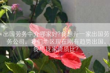 出国劳务中介哪家好?我想开一家出国劳务公司，我们地区现在刚有趋势出国，我想找家资质比?