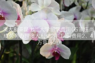 澳大利亚昆士兰大学留学费用(石家庄尚成劳务办理澳大利亚2年工签,费用2、4万靠谱吗)