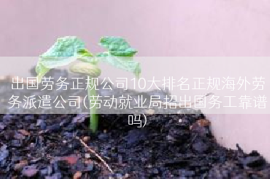 出国劳务正规公司10大排名正规海外劳务派遣公司(劳动就业局招出国务工靠谱吗)