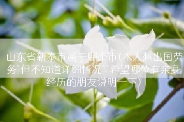 山东省新泰市属于哪个市(本人想出国劳务`但不知道详细情况``希望哪位有亲身经历的朋友说明一下)