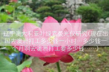 辽宁澳大利亚叶绿素荧光仪研究(现在出国去澳洲打工多少钱一小时…多少钱一个月啊去澳洲打工要多少钱……)