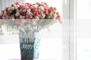 中国商务部官网查询正规出国劳务公司？麻烦各位大师高手们。我打算出国劳务，咱们济南有哪个出国劳务中介机构是正规的有资格的。谢谢？
