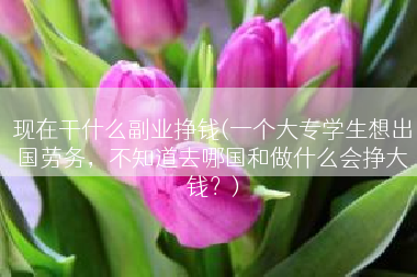 现在干什么副业挣钱(一个大专学生想出国劳务，不知道去哪国和做什么会挣大钱？)