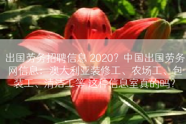 出国劳务招聘信息 2020？中国出国劳务网信息：澳大利亚装修工、农场工、包装工、清洁工等 这种信息室真的吗？