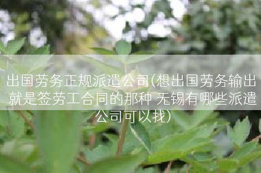出国劳务正规派遣公司(想出国劳务输出 就是签劳工合同的那种 无锡有哪些派遣公司可以找)