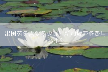 出国劳务需要多少钱？新加坡劳务费用多少？