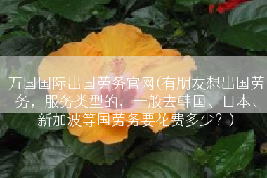 万国国际出国劳务官网(有朋友想出国劳务，服务类型的，一般去韩国、日本、新加波等国劳务要花费多少？)