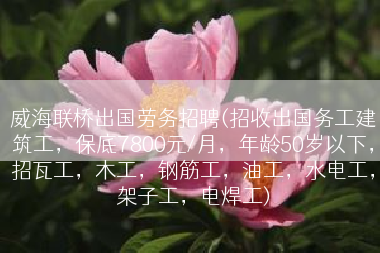 威海联桥出国劳务招聘(招收出国务工建筑工，保底7800元/月，年龄50岁以下，招瓦工，木工，钢筋工，油工，水电工，架子工，电焊工)
