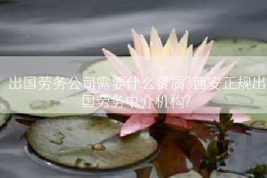 出国劳务公司需要什么资质?西安正规出国劳务中介机构?