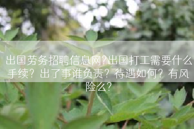 出国劳务招聘信息网?出国打工需要什么手续？出了事谁负责？待遇如何？有风险么?