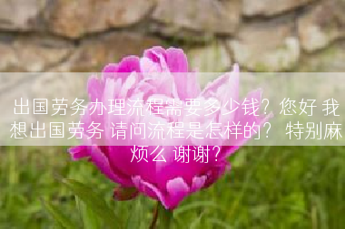 出国劳务办理流程需要多少钱？您好 我想出国劳务 请问流程是怎样的？ 特别麻烦么 谢谢？